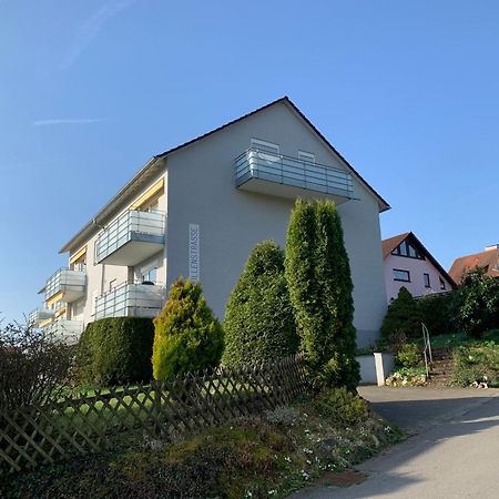 Micro-Apartment In Seenaehe Fusslaeufig Zum See:)) Ohningen Dış mekan fotoğraf