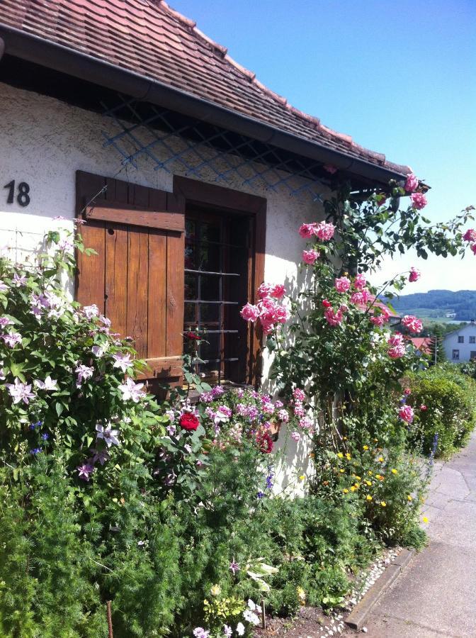 Micro-Apartment In Seenaehe Fusslaeufig Zum See:)) Ohningen Dış mekan fotoğraf